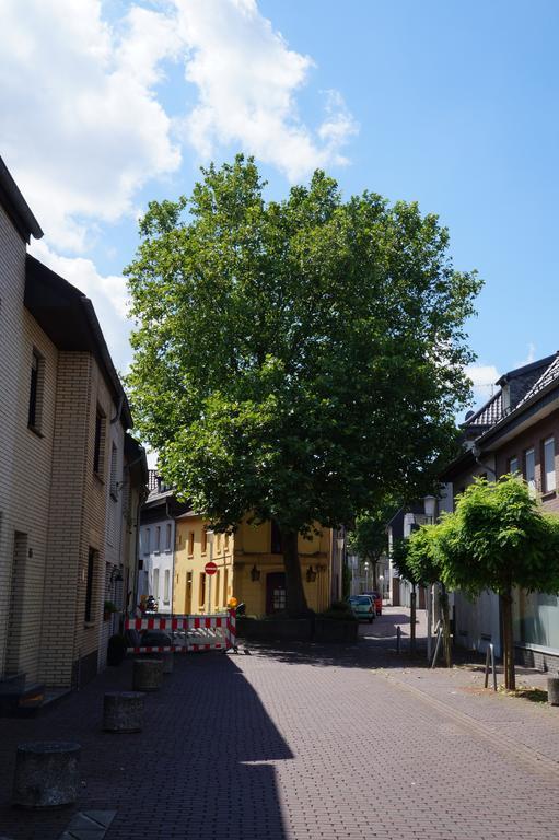 Ferienwohnung Haagedoernchen ネッテタール エクステリア 写真