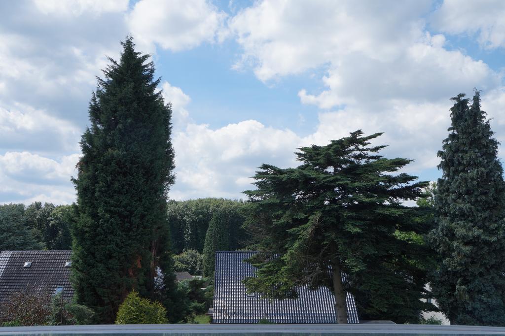 Ferienwohnung Haagedoernchen ネッテタール エクステリア 写真